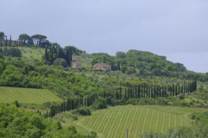 Toscana Umbria - Day 2