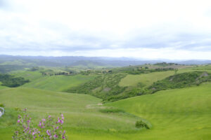 Toscana 2025