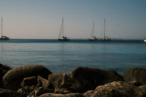Levanzo 2025