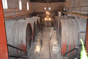 Etna Tour