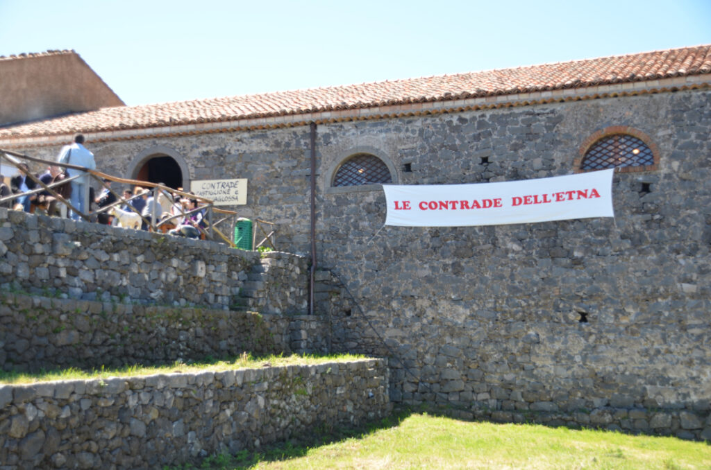 Etna Tour