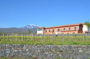 Etna Tour