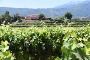 Etna Tour