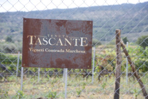 Etna Tour