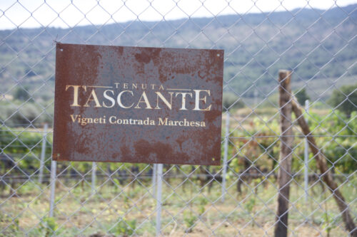 Etna Tour