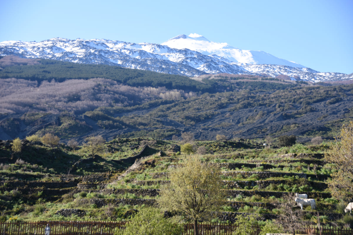Sizilien entdecken Etna Tour