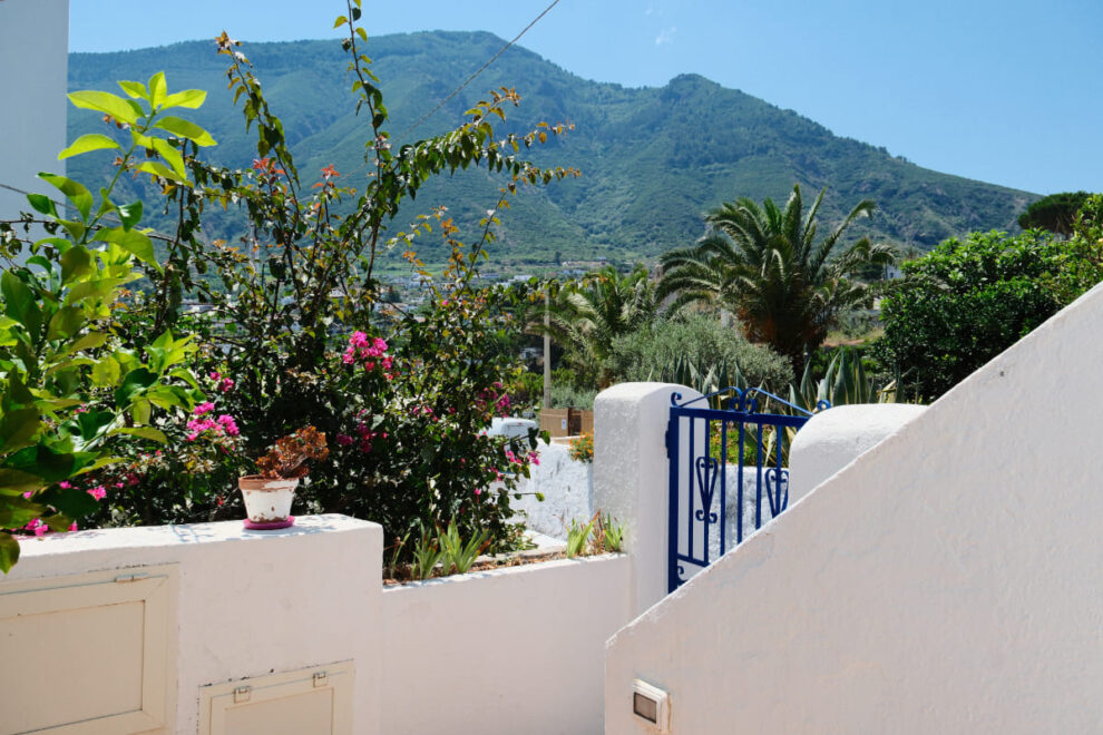 Salina 2025 © peter junker