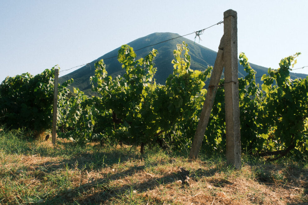 Salina 2025 © peter junker