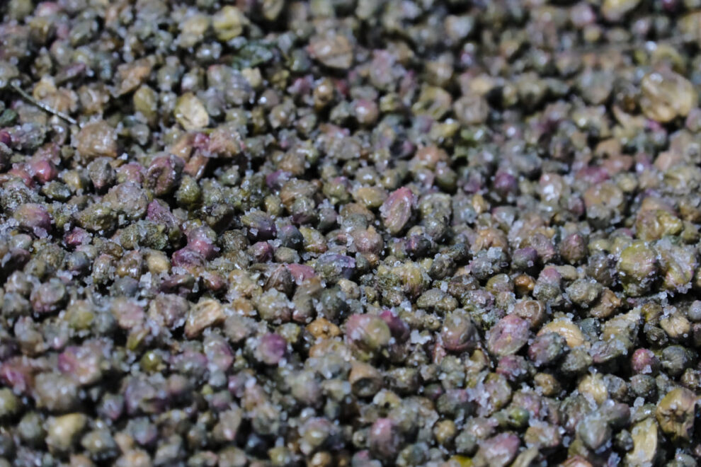 Salina 2025 © peter junker