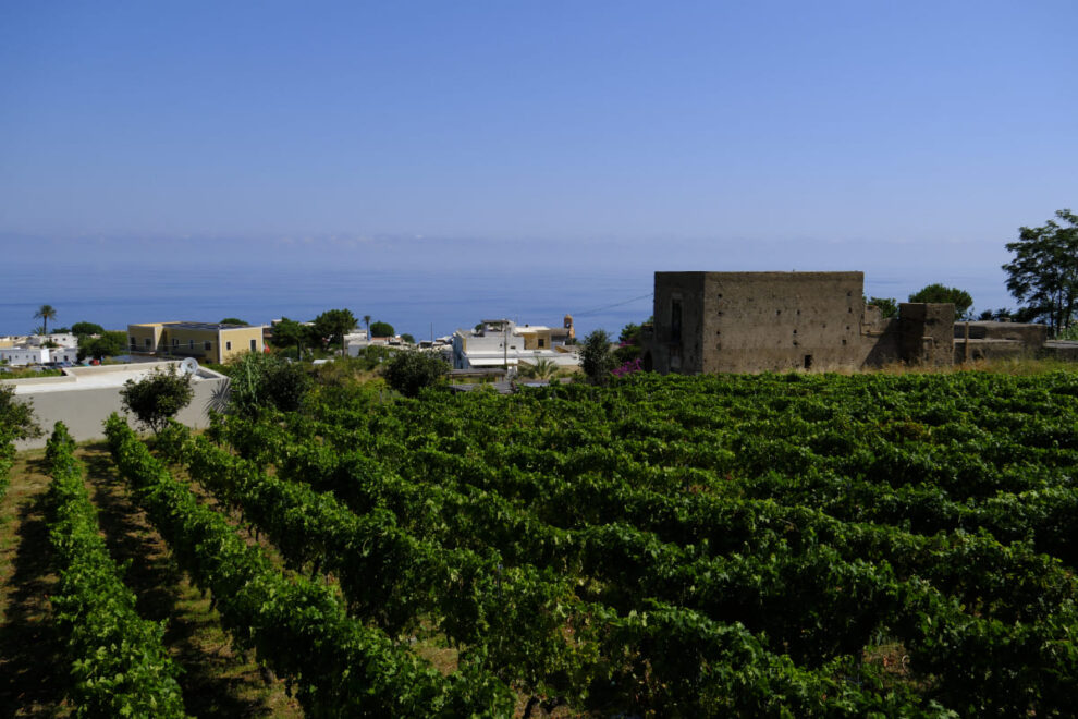 Salina 2025 © peter junker