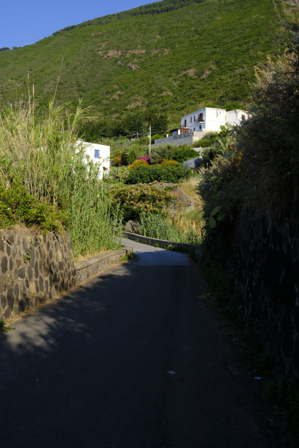 Salina 2025 © peter junker