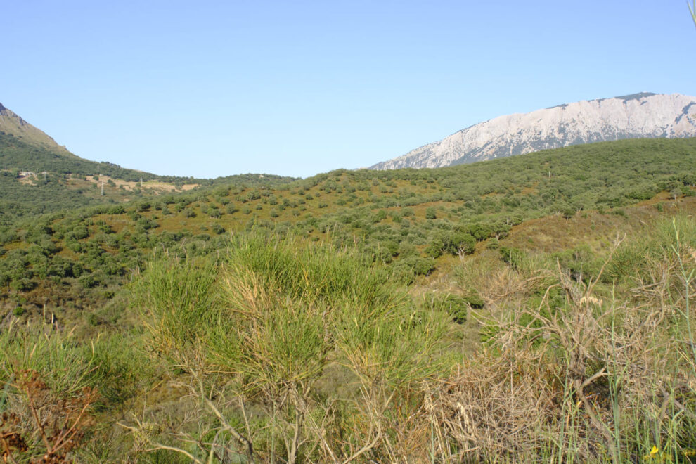 Isnello 2025 © Peter Junker