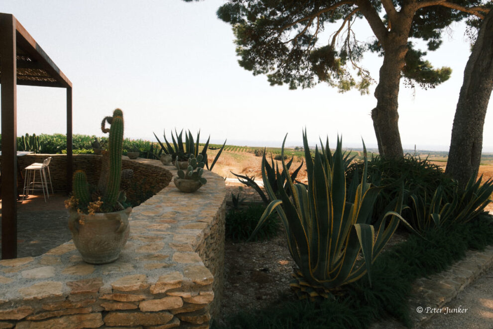 Tenuta Stoccatello © Peter Junker