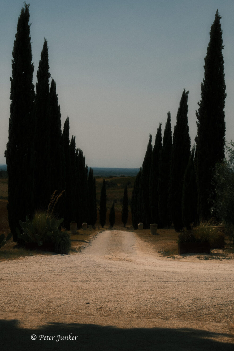 Tenuta Stoccatello © Peter Junker