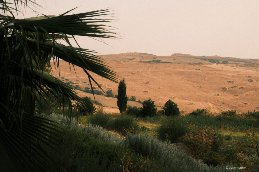 Susafa © Peter Junker