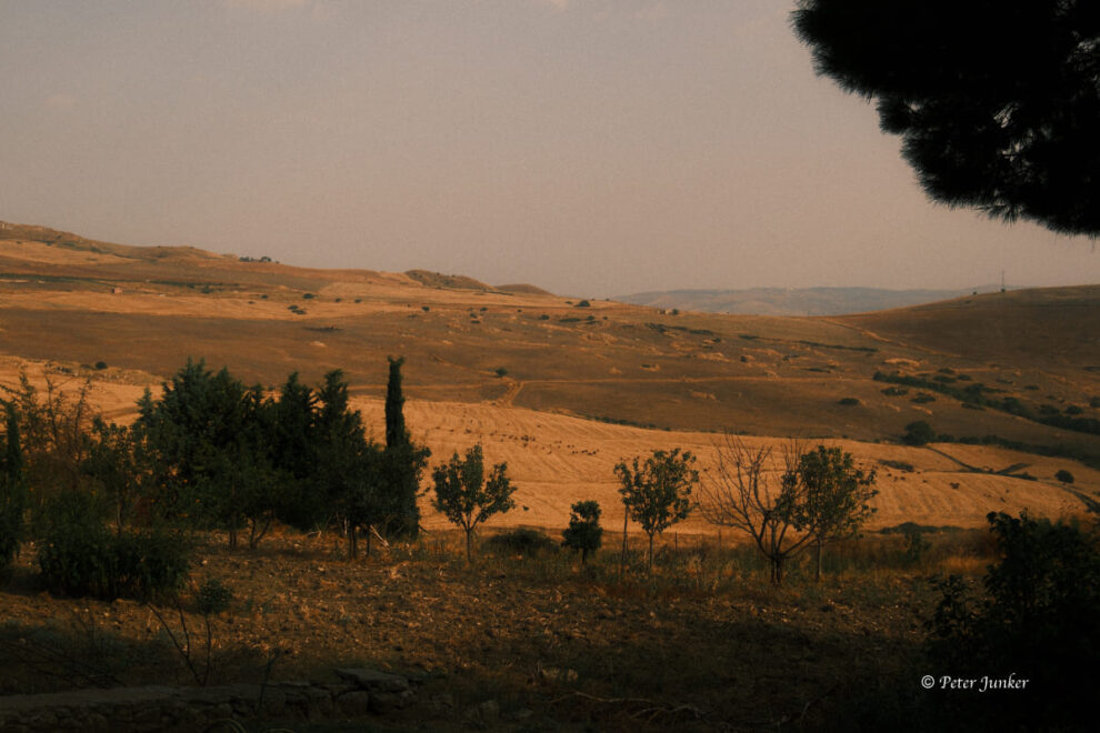 Susafa © Peter Junker