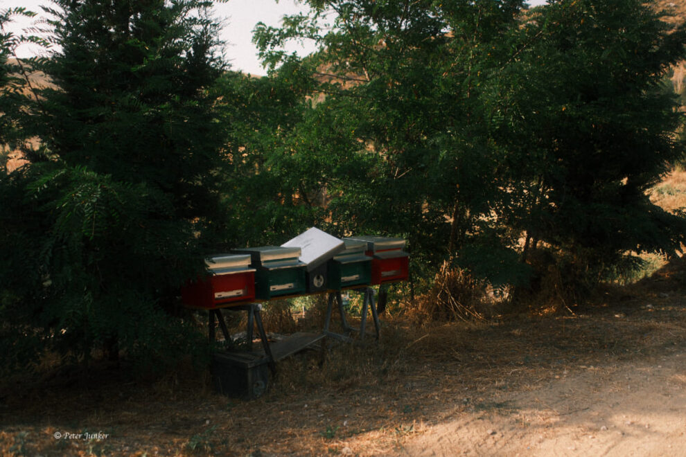 Susafa © Peter Junker