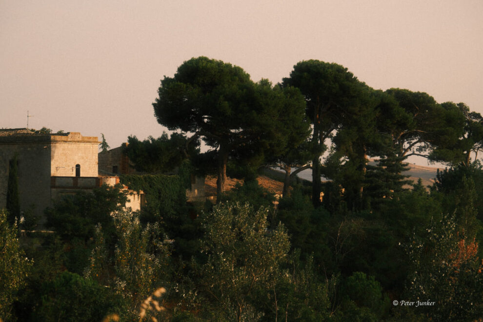 Susafa © Peter Junker