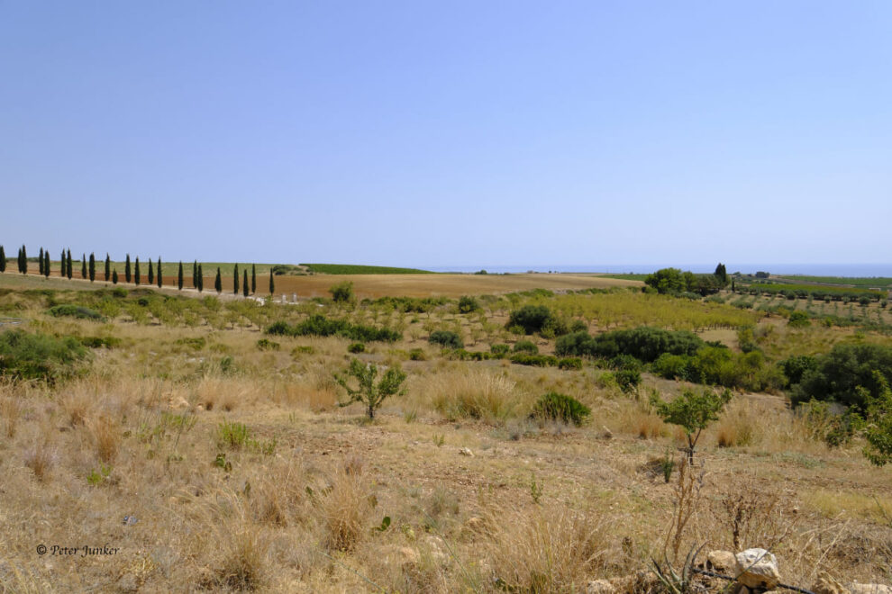 Tenuta Stoccatello © Peter Junker