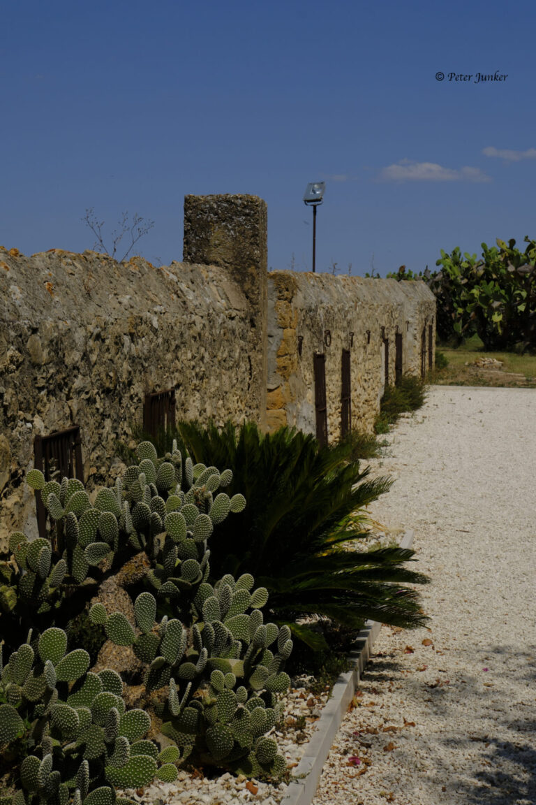 Tenuta Stoccatello © Peter Junker