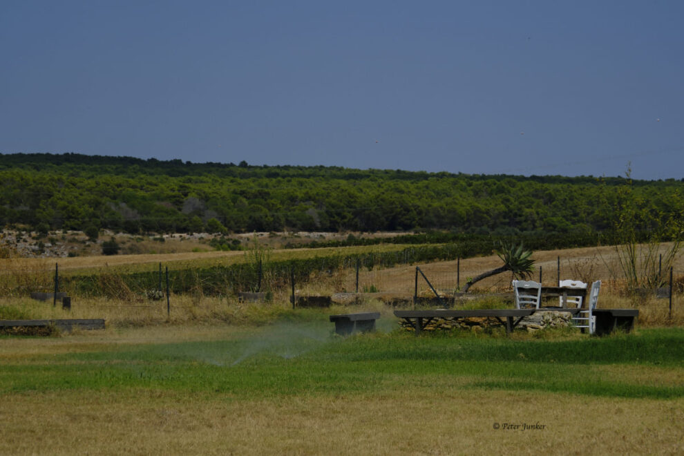Tenuta Stoccatello © Peter Junker