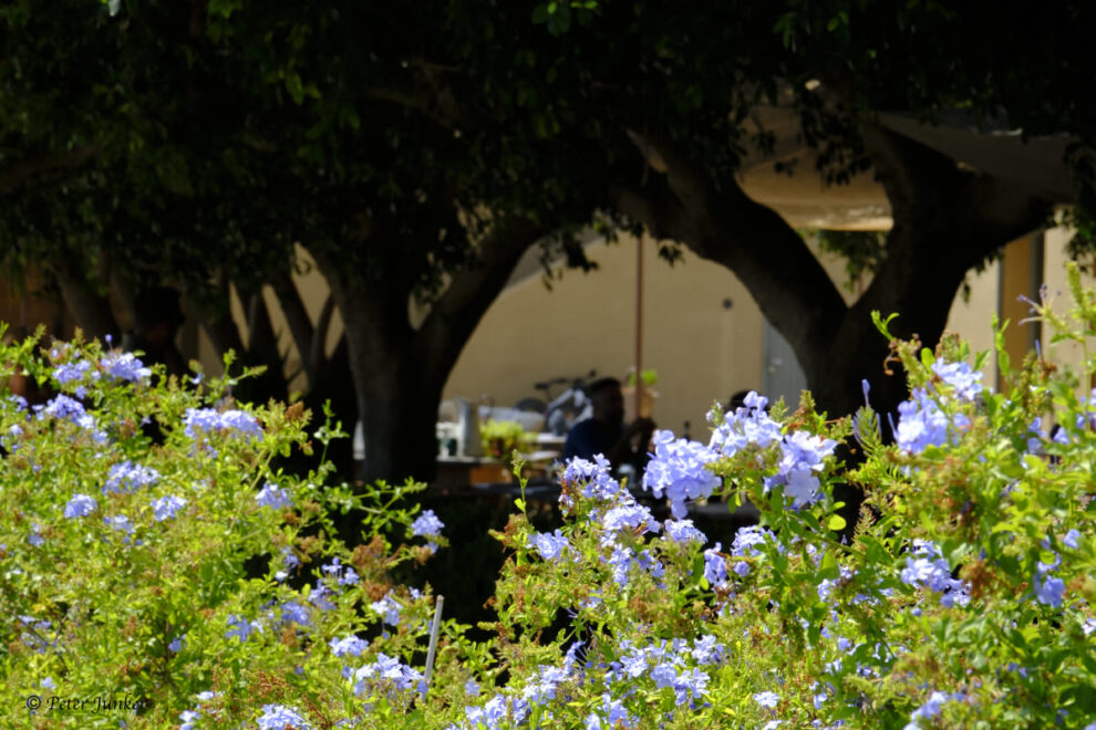 Tenuta Stoccatello © Peter Junker