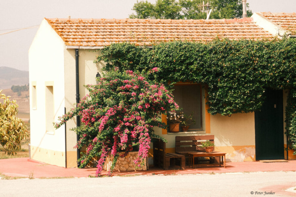 Spadafora © Peter Junker