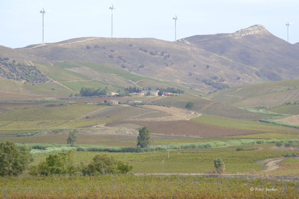 Spadafora © Peter Junker