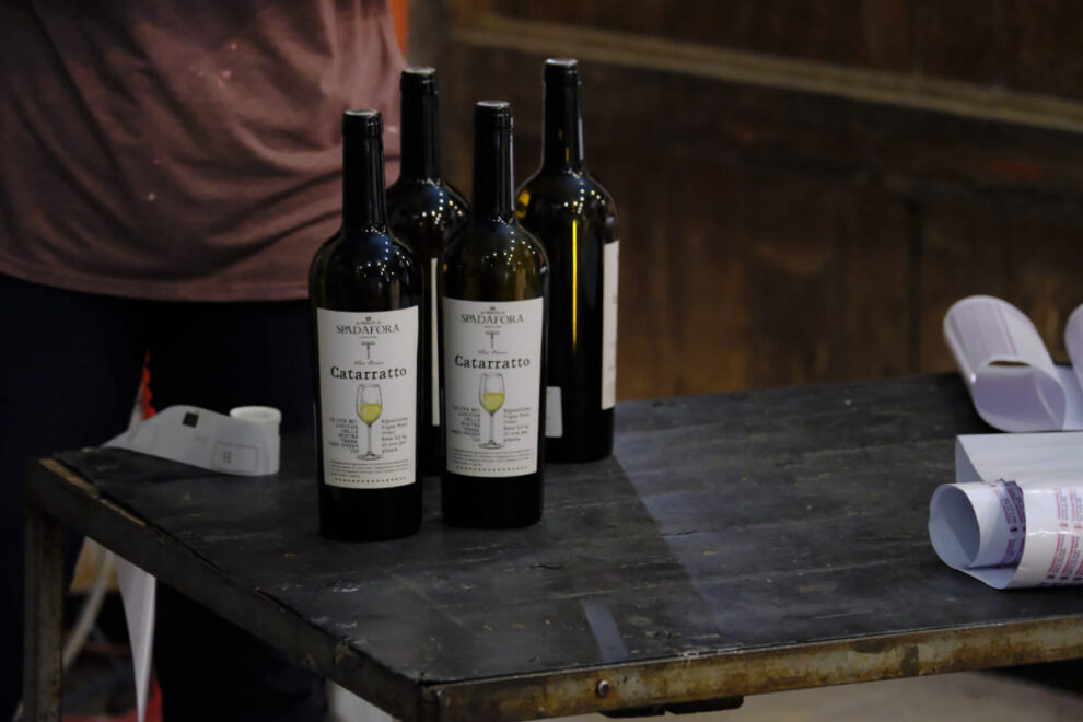 Spadafora © Peter Junker