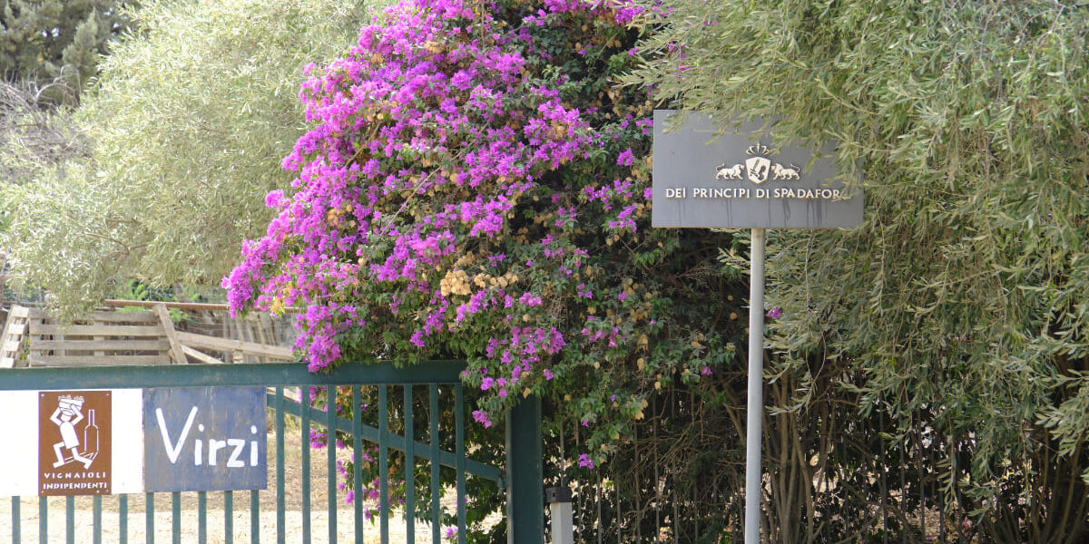 Spadafora © Peter Junker Spadafora © Peter Junker