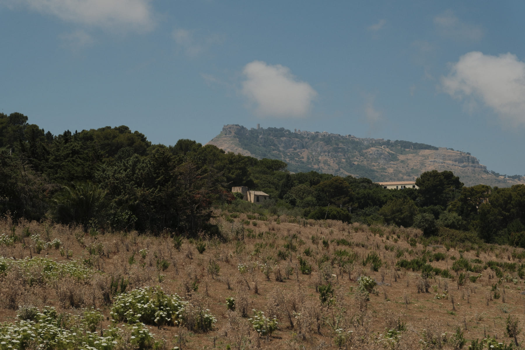 Brezza d'Estate mit Blick auf Erice, die mittelalterliche Stadt