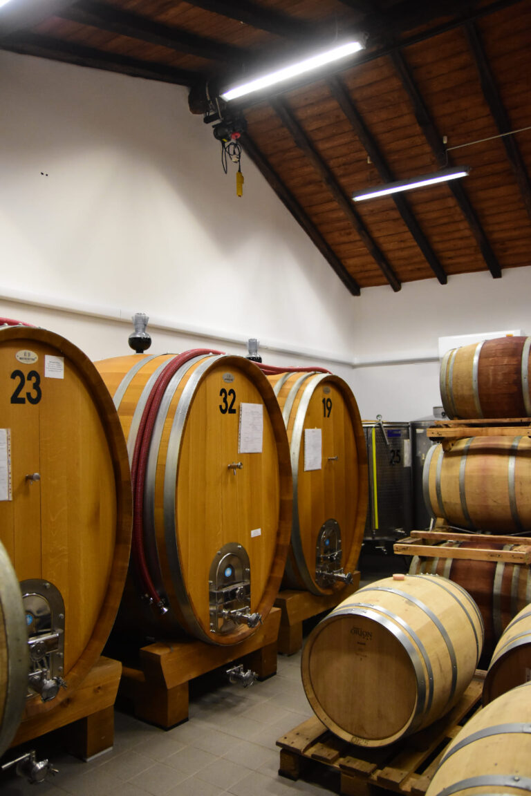 Vini Calcagno Passopisciaro Ätna © Siziliengeheimtipp 2026