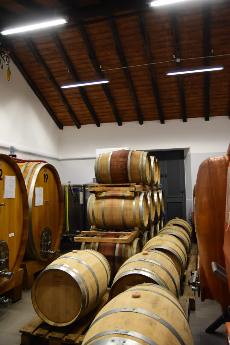 Vini Calcagno Passopisciaro Ätna © Siziliengeheimtipp 2026