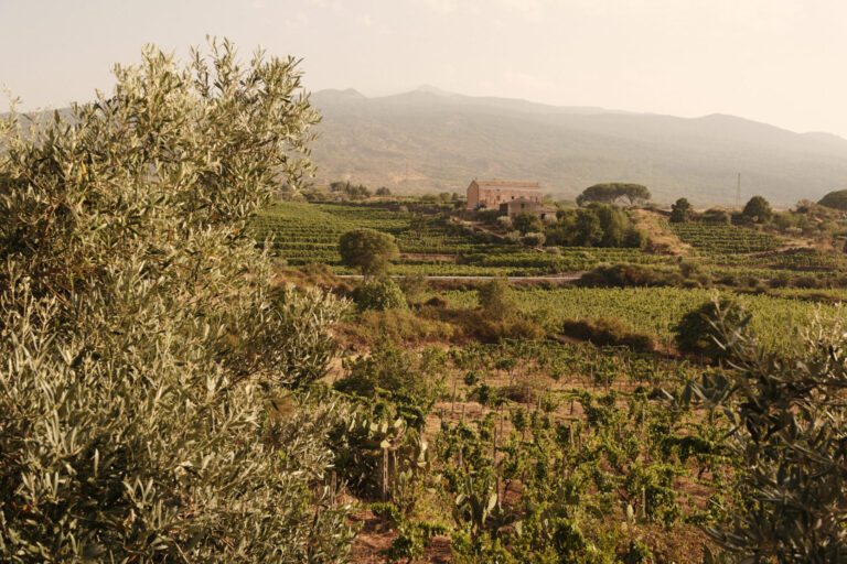 Vini Calcagno Passopisciaro Ätna © Siziliengeheimtipp 2026