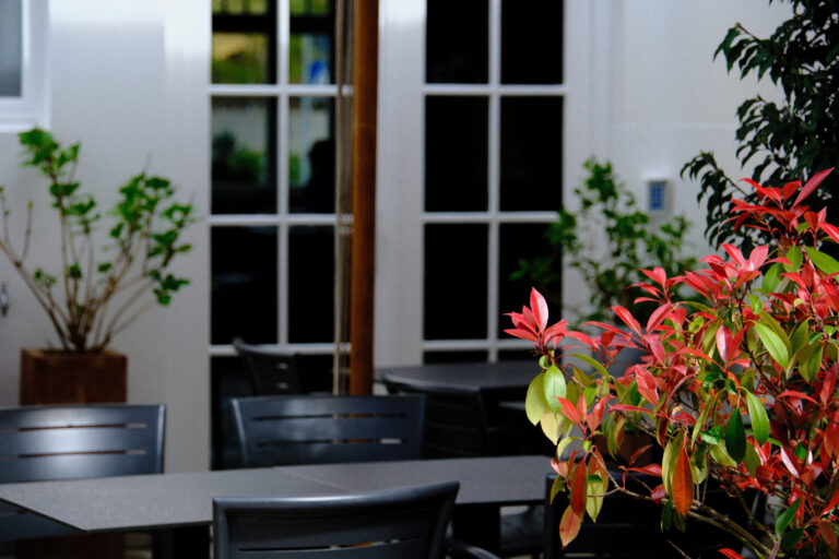 Gusto Ristorante Mainz © Siziliengeheimtipp 2026