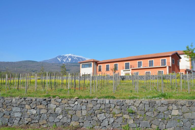 Vivera Weingut Etna Vivera © Siziliengeheimtipp 2026