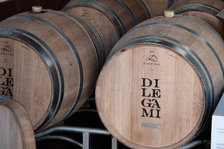 Di Legami Bioweingut © Siziliengeheimtipp 2026