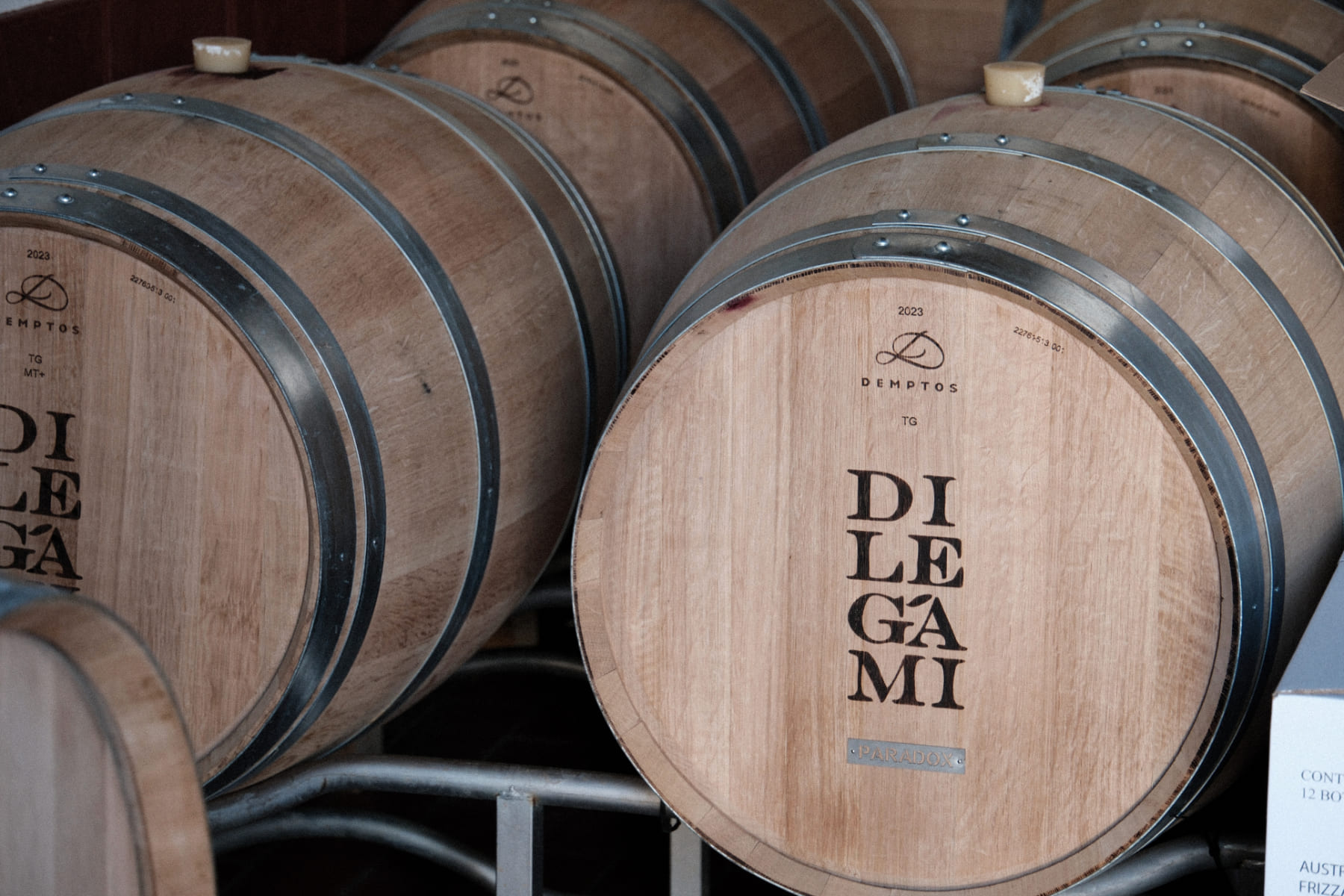 Di Legami Bioweingut © Siziliengeheimtipp 2026