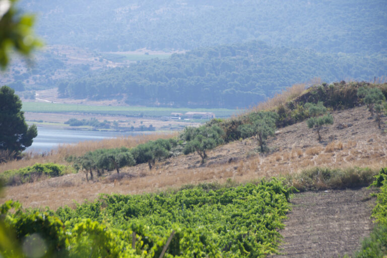 Di Prima Sambuca di Sicilia © Siziliengeheimtipp 2026