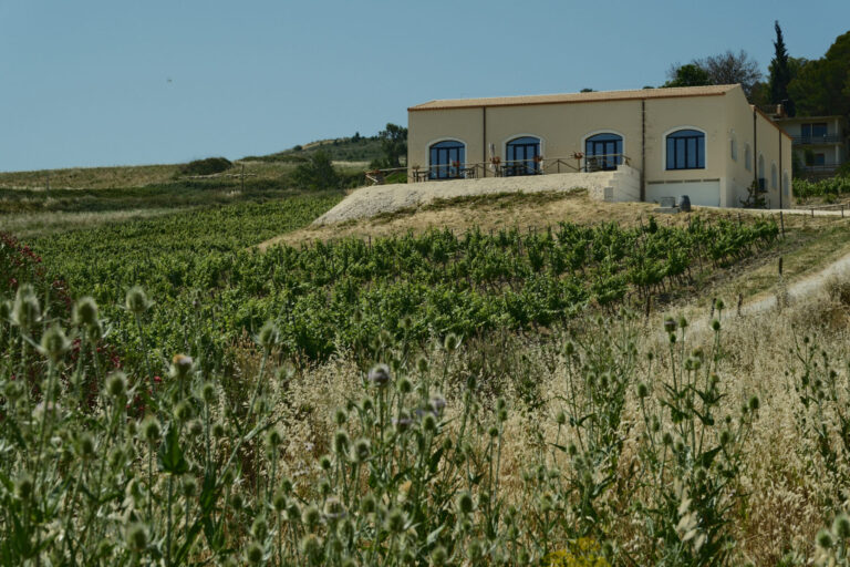 Di Prima Sambuca di Sicilia © Siziliengeheimtipp 2026