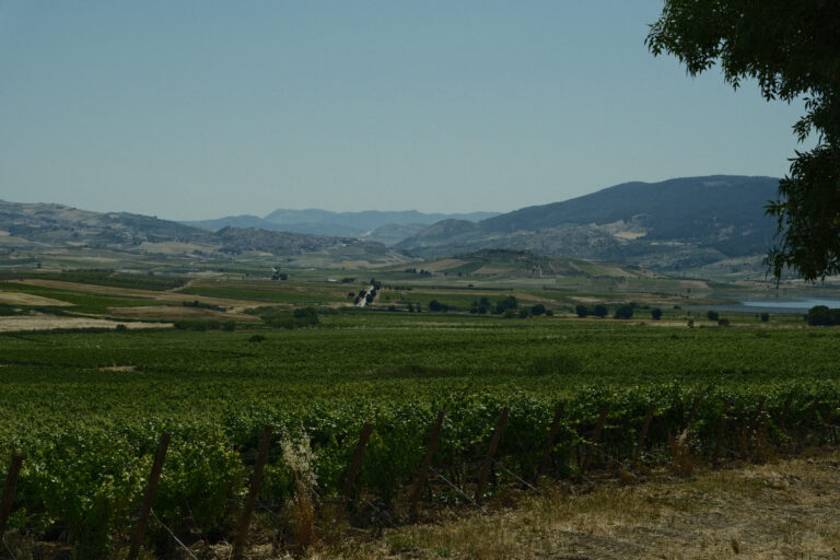 Di Prima Sambuca di Sicilia © Siziliengeheimtipp 2026
