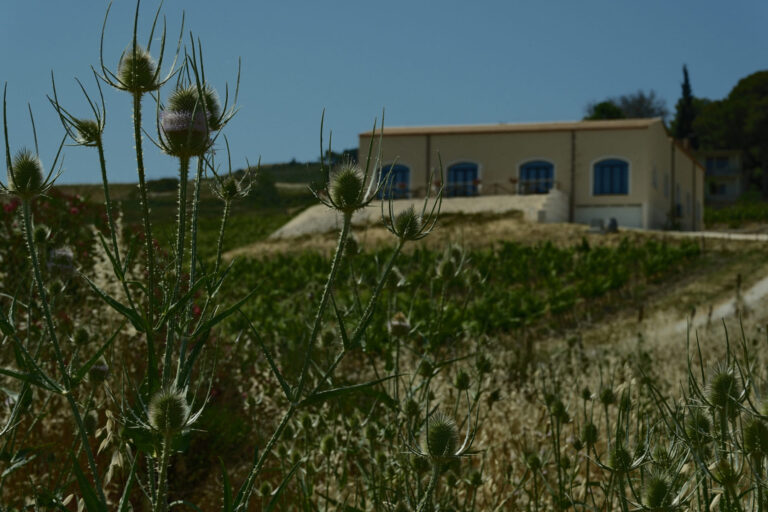 Di Prima Sambuca di Sicilia © Siziliengeheimtipp 2026