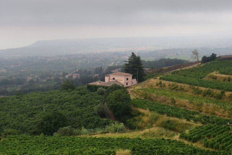 Barone di Villagrande Ätna © Siziliengeheimtipp 2026