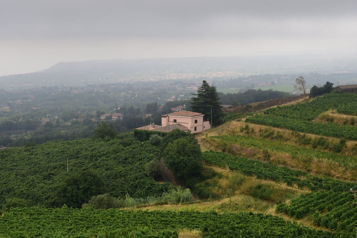 Barone di Villagrande Ätna © Siziliengeheimtipp 2026