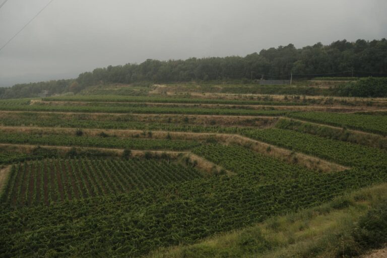 Barone di Villagrande Ätna © Siziliengeheimtipp 2026