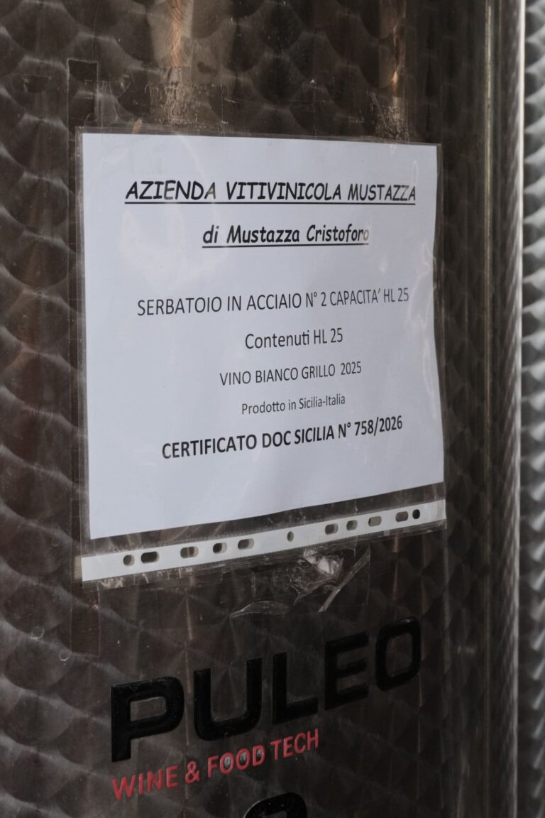 Mustazza Vini © Siziliengeheimtipp 2026
