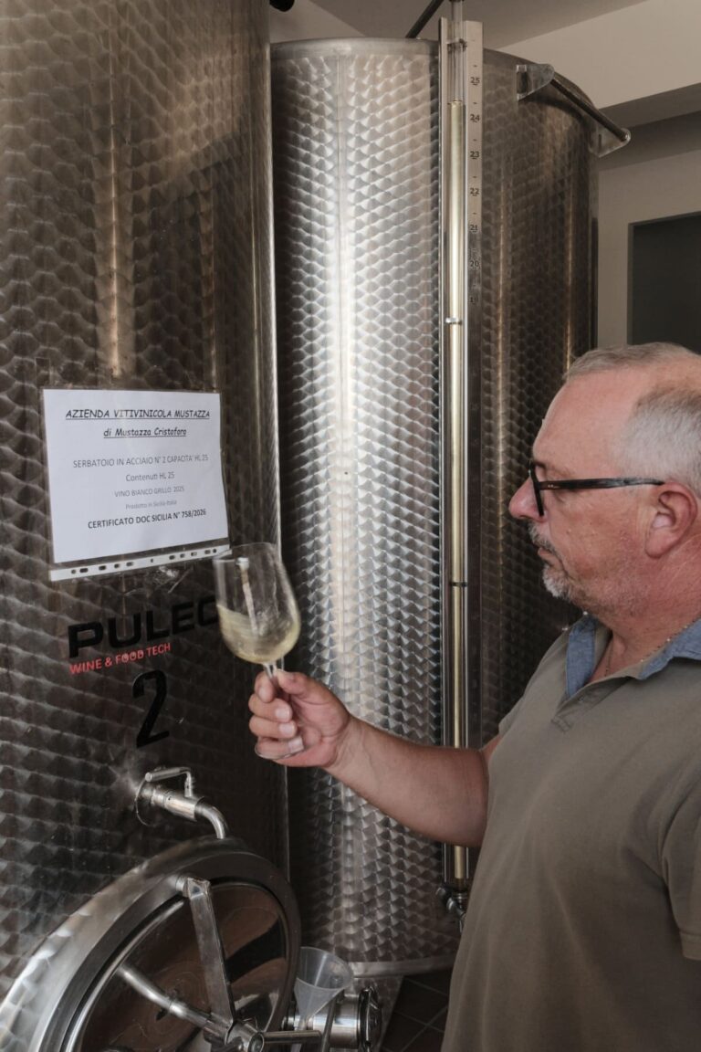 Mustazza Vini © Siziliengeheimtipp 2026