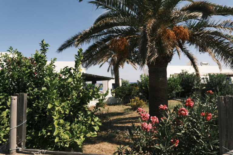 © Stromboli Siziliengeheimtipp